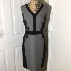 Classy Lace Paneled Sheath Dress